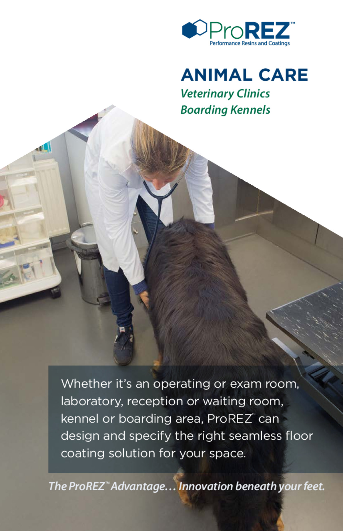Veterinary Sell Sheet thumbnail